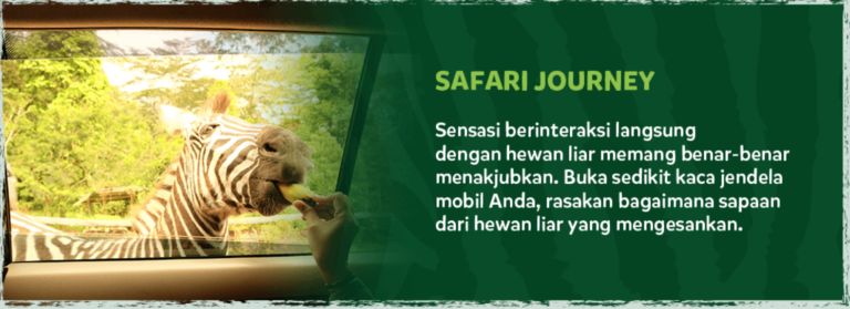 safari journey taman safari