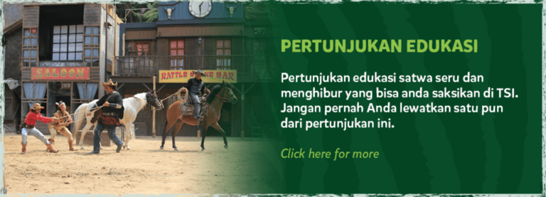 pertunjukan dan wisata edukasi taman safari