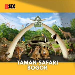 wisata taman safari bogor dan harga tiket taman safari bogor