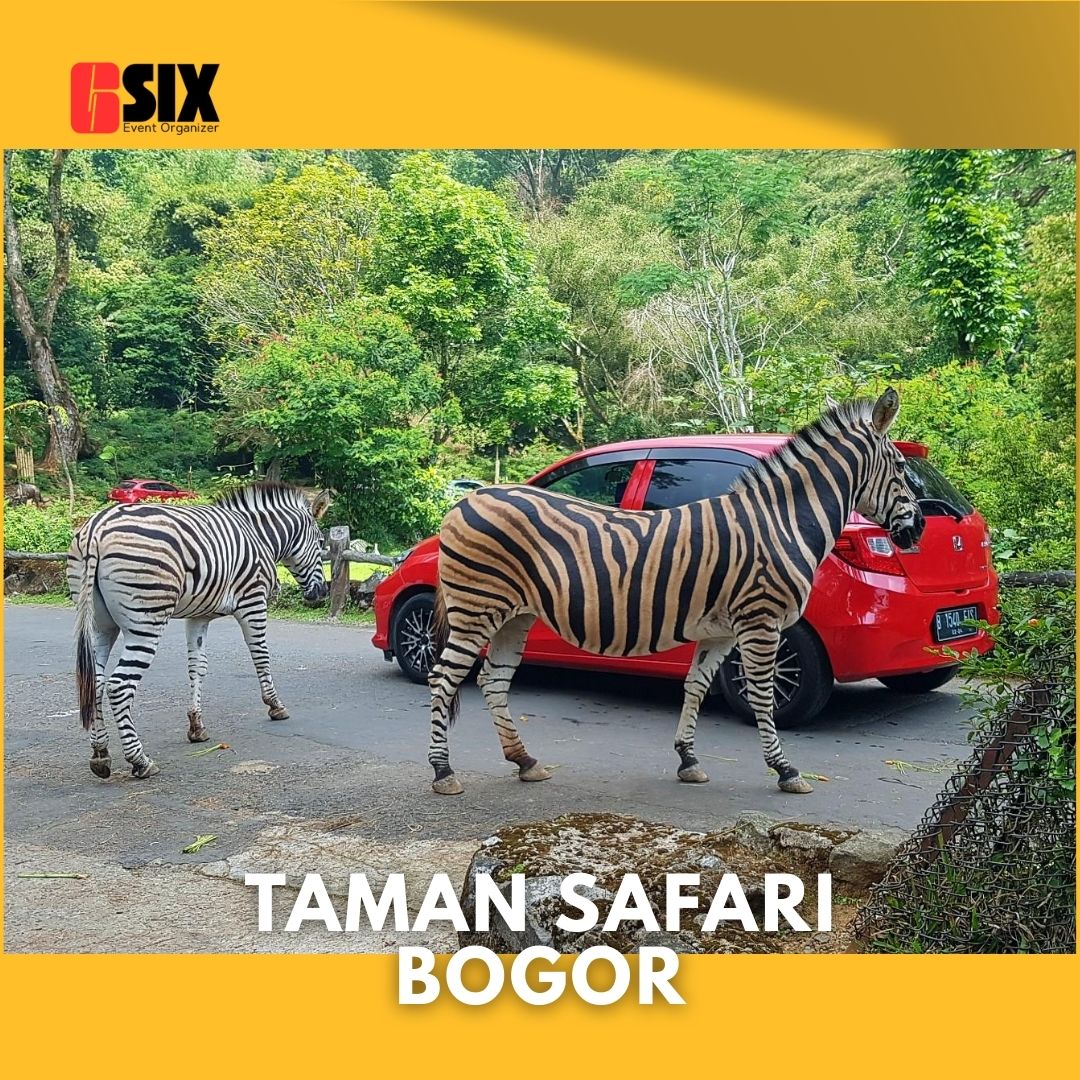 tiket taman safari bogor